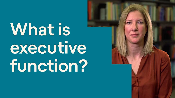 What Is Executive Function?