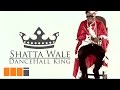 Shatta Wale - Dancehall King [Official Video]