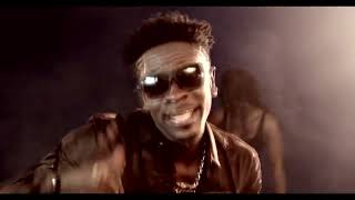 Shatta Wale - Dancehall King [ Video]