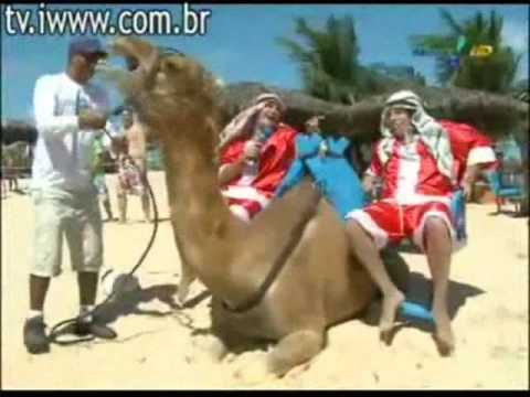 Camelo Do Panico Na Tv 23 08 09 