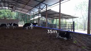 Compost Barn para 40 animais - Exemplo de Projeto pequeno de Compost Barn