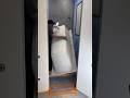 #chantier #artisan #renovation #salledebain