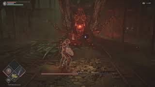 Demon's Souls Remake - Armor Spider Boss Fight
