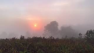 Download Lagu Balada puan MP3