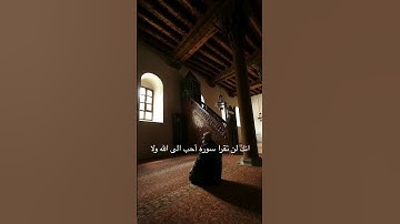 فضل قراءة سورة الفلق