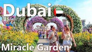 Miracle Garden Dubai 150 Million Flowers [Full Tour] 4K 🇦🇪