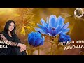 Welcome To New Barawa Song 2024 Sifu Qusihila Mina By Aawo Alanka 