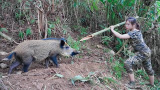 Skills for setting wild boar traps and making bamboo stoves, survival alone