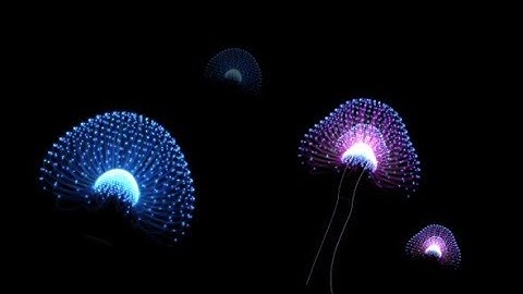 Jelly Fish Particles | Motion Graphics - Videohive template