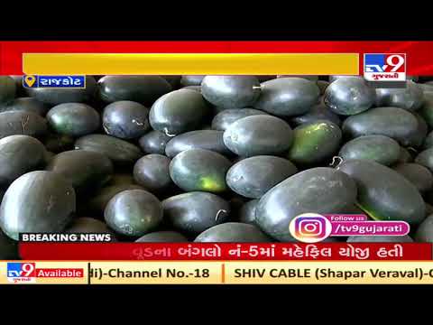 Bumper income of watermelons  at Rajkot marketyard | TV9Gujaratinews