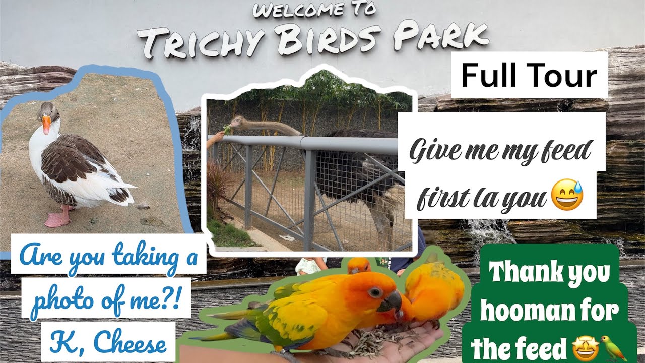Trichy Bird Park Complete Tour | Exotic Birds, Aviary Walk & Ticket Price | An underrated bird park