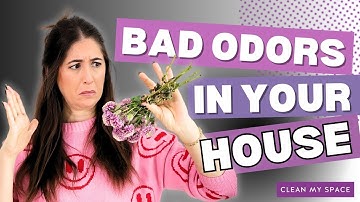Why Your House SMELLS BAD and How To FIX IT!