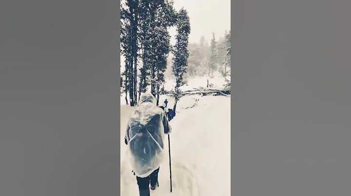 #Kedarkantha #Trek with #winter #Snowfall❄️❄️ and book your know