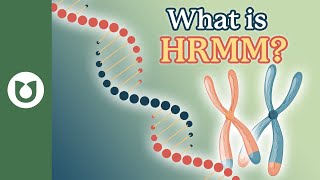 What is HRMM (High-Risk Multiple Myeloma)?