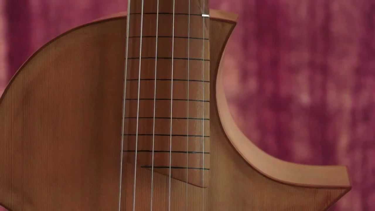 Christopher Schuetz - Maître luthier