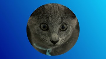 DataSeer explainer video