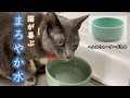 猫が水をよく飲む陶器