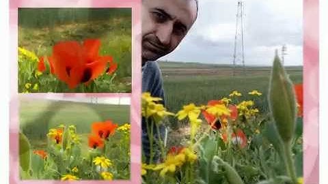 Movie Maker - Kizoa Video Düzenleme Programı: BEKTAŞLI