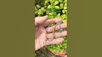 Lưỡi Câu Cá Lóc Trứng Rùa 2,2mm/5,5cm giá 150 Ship các tỉnh.!
