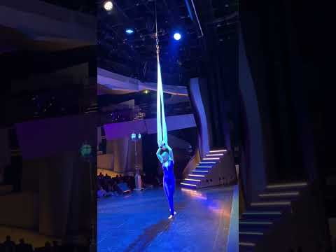 Aerial artist #aerialnet