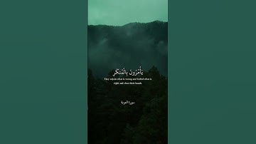 الشيخ سعود الشريم/مقطع من تلاوة مؤثرة من سورة التوبة