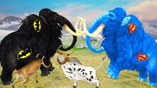 Black Zombie Mammoth VS Blue Woolly Mammoth Animal Fight | Mammoth Animal Fight Save Cartoon Cow