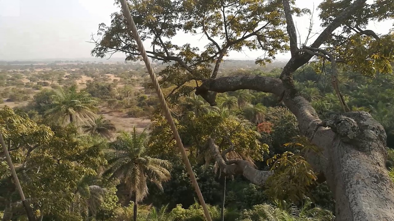 A plataforma de Kanoufa num poilão gigante de Pointe Saint-Georges