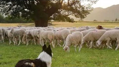 Abruzzo a tutta sparata 2 edizione