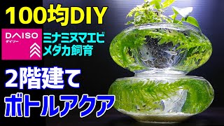 2階建て ボトルアクアリウム 作り方100均diy ミナミヌマエビ メダカ室内飼育 ビオトープ インテリアに使える How To Make Tabletop Aquarium こっさんch 100均スタイル 2階建て ボトルアクアリウム 作り方100均diy ミナミヌマエビ メダカ室内飼育 ビオトープ インテリアに使える How To Make Tabletop Aquarium こっさんch 100均スタイル