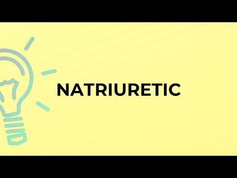 What is the meaning of the word NATRIURETIC?