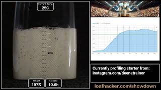 Sourdough Starter Showdown: deenatrainor (FULL profiling session)