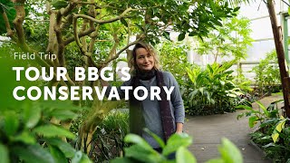 Tour BROOKLYN BOTANIC GARDEN'S Tropical Conservatory — Ep. 357