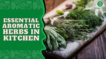 The Essential Aromatic Herbs In The Kitchen
