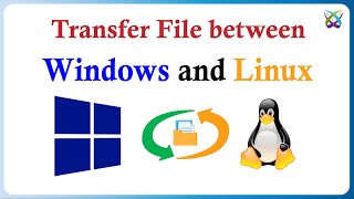 How to Transfer File Between Windows and Linux with WinSCP