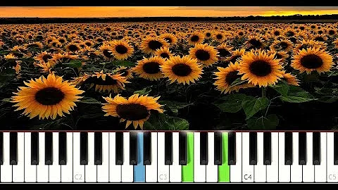 Sierra Burgess is a Loser - Sunflower (Piano Tutorial Instrumental)