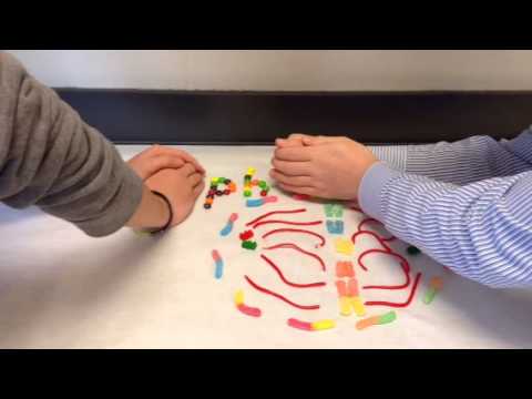 Mitosis Pd 5 Candy