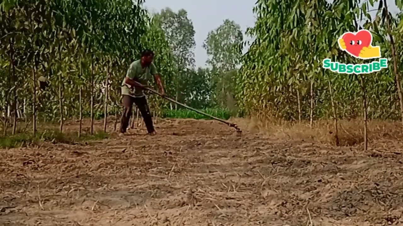 Working in the field 🌾