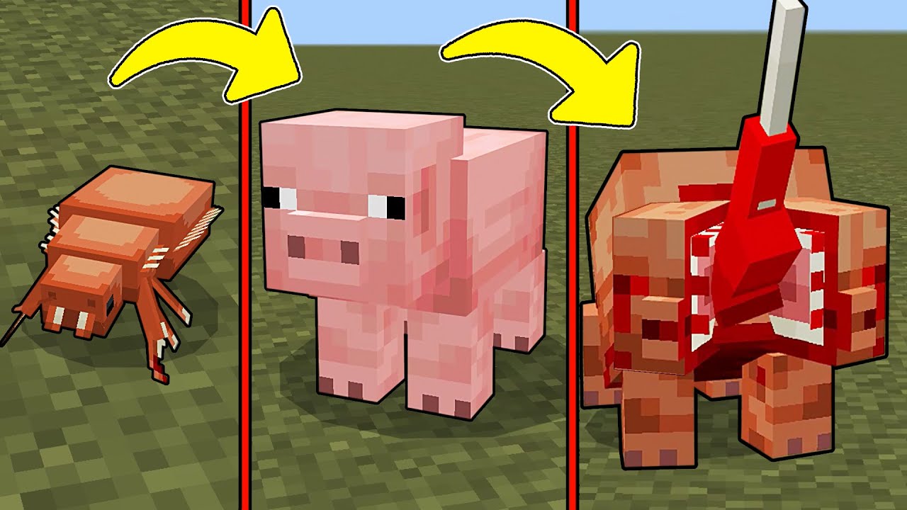 NEW PARASITES ADDON Minecraft Bedrock Blood Rot