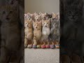 ai video