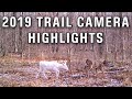 My Favorite Trail Camera Pictures of 2019