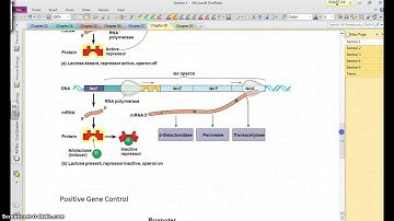 AP Bio - Chapter 18, section 1-3