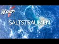 Saltstraumen  one of the worlds strongest tidal currents  project norway by continentrunner