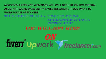 PDF to Excel Spreadsheet Data Entry Job