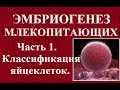 Эмбриология млекопитающих и человека. Ч.1. Классификация яйцеклеток и зигот.