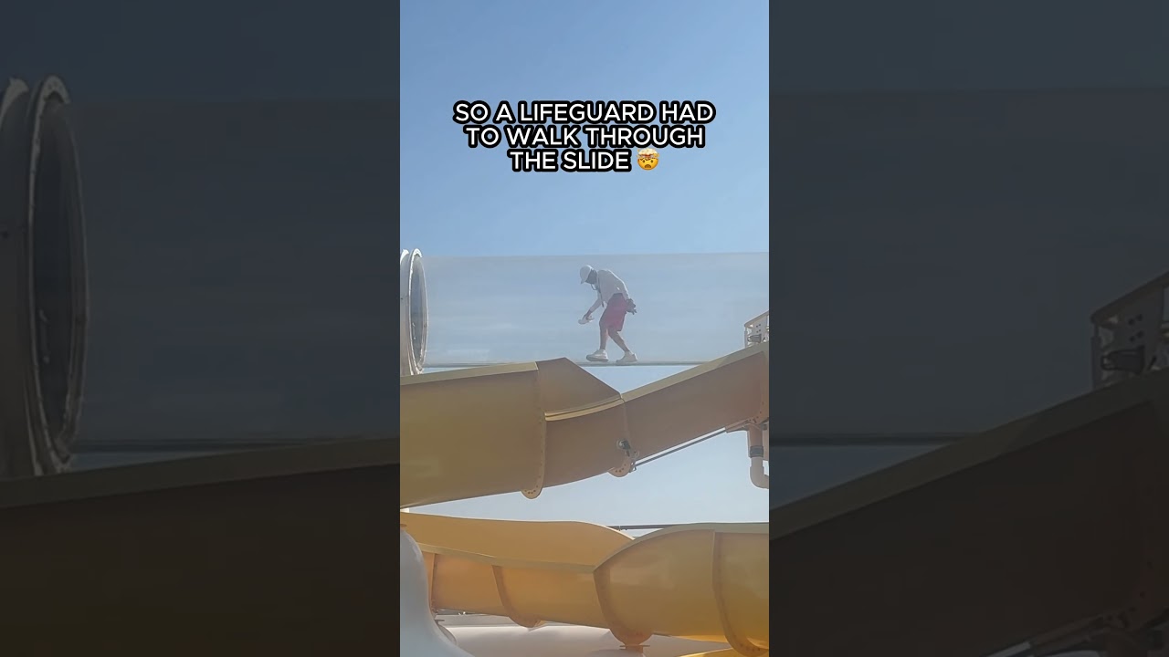 You won't believe what we saw on the AquaDuck 🚢 #DisneyCruise #DCL #Shorts