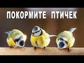 Покормите птиц зимой!  |  Feed the birds in winter!