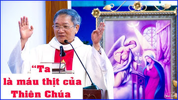 Thiên Chúa Không Sao Có Thể Bỏ Ta Được - Bài giảng lễ Truyền Tin - Cha Đaminh Nguyễn Đức Thông.DCCT