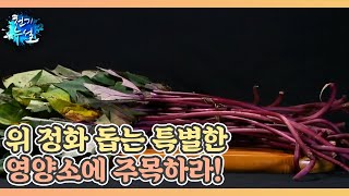 위 정화 돕는 특별한 영양소에 주목하라! MBN 210917 방송
