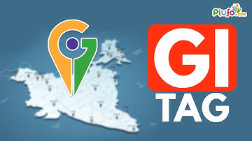 Latest GI Tags of India 2021 | Geographical Indication Tags | GI Tag | Educational Videos | Plufo