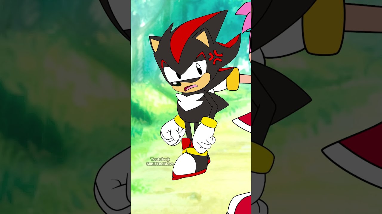 AMY ROSE MEETS CLASSIC SHADOW THE HEDGEHOG